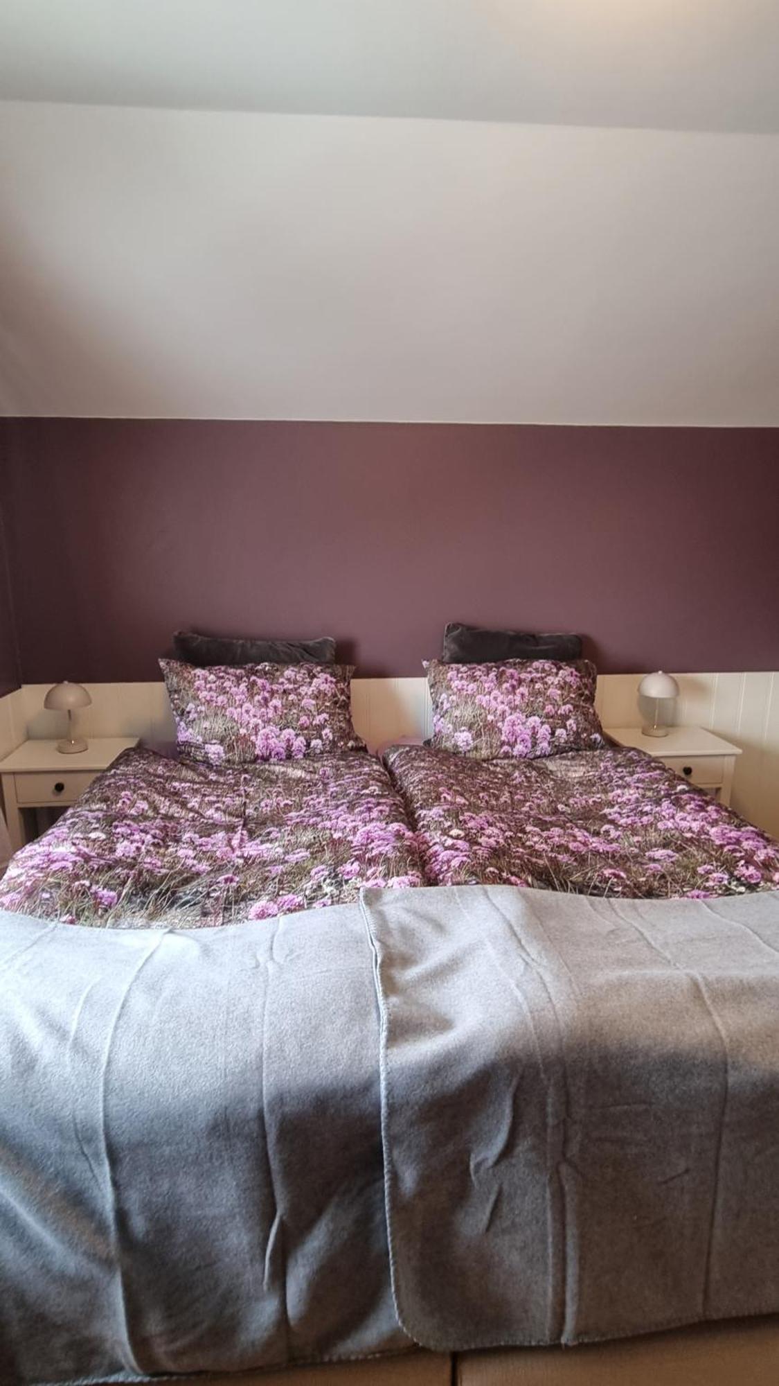 Fornilaekur Guesthouse Бльондюоус Екстер'єр фото